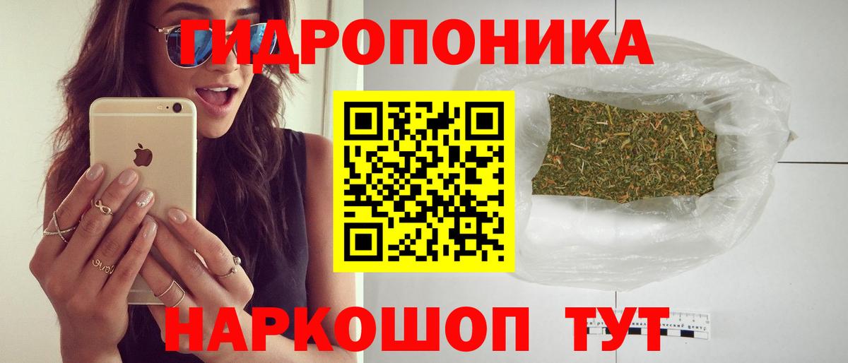 Конопля OG Kush Полевской
